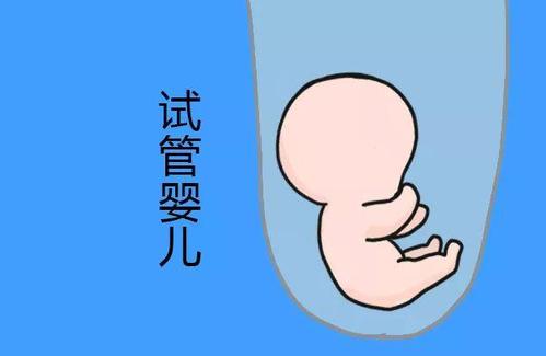 三代供卵试管选性别包生男孩